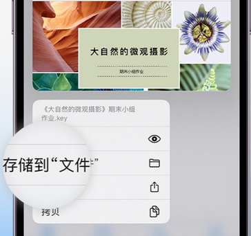 峨山apple维修中心分享iPhone文件应用中存储和找到下载文件