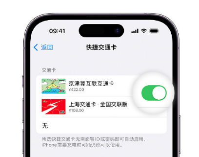 峨山apple维修点分享iPhone上更换Apple Pay快捷交通卡手绘卡面 