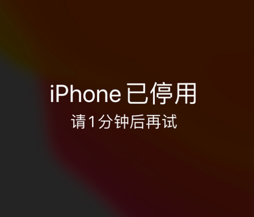 峨山苹果手机维修分享:iPhone 显示“不可用”或“已停用”怎么办？还能保留数据吗？ 