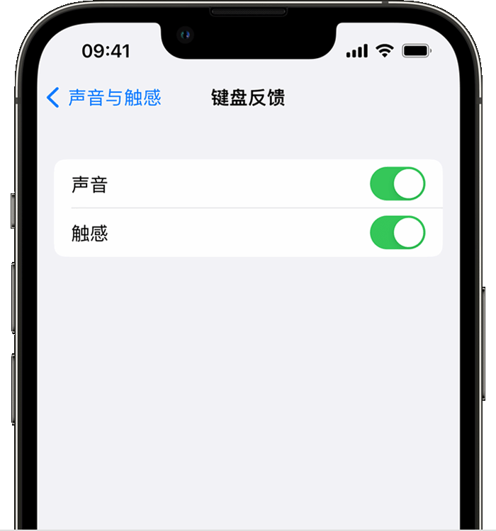 峨山苹果14维修店分享如何在 iPhone 14 机型中使用触感键盘 