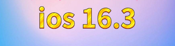 峨山苹果服务网点分享苹果iOS16.3升级反馈汇总 