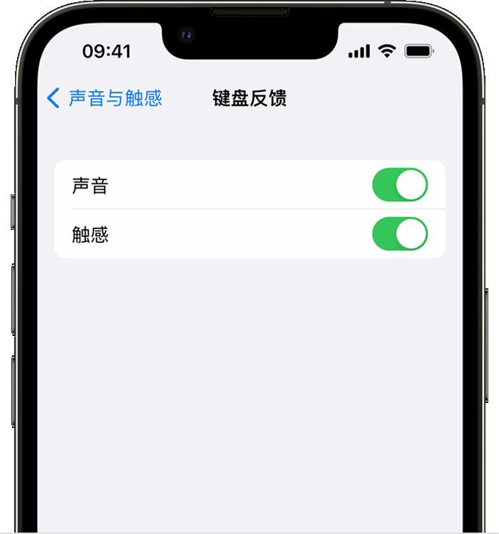 峨山苹果14维修分享iPhone 14 系列机型如何开启键盘声音或触感反馈 