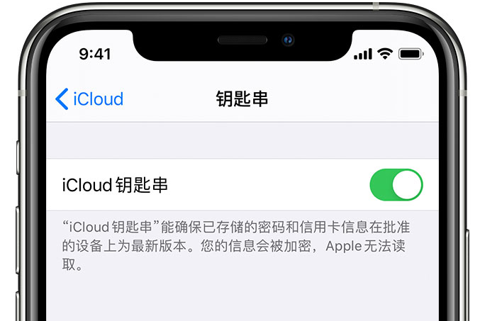 峨山苹果手机维修分享在 iPhone 上开启 iCloud 钥匙串之后会储存哪些信息 