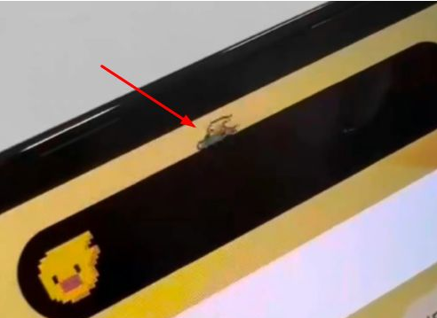峨山苹果14维修分享iPhone 14 Pro Max灵动岛怎么养宠物 