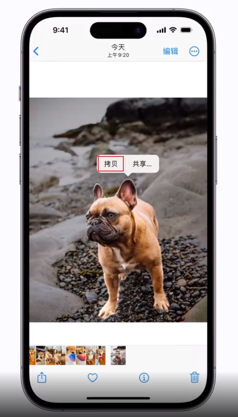 峨山苹果手机维修分享 iOS 16 自带一键抠图功能 