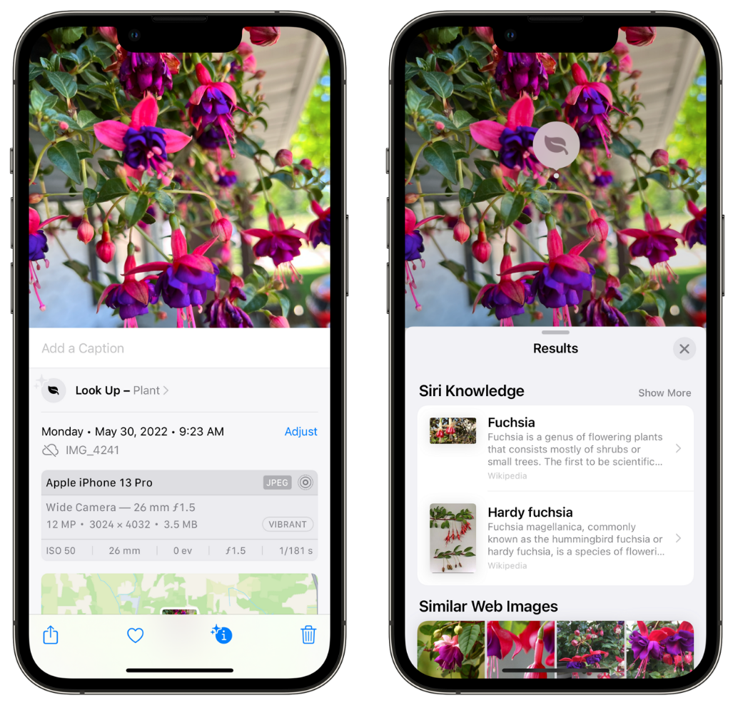 峨山苹果手机维修分享小技巧：使用 iPhone 相机识别花卉植物 