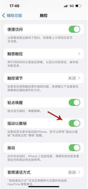 峨山苹果手机维修分享iPhone手机如何设置摇一摇删除文字 