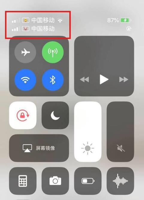 峨山苹果手机维修分享为 iPhone 12 双卡设置标签 