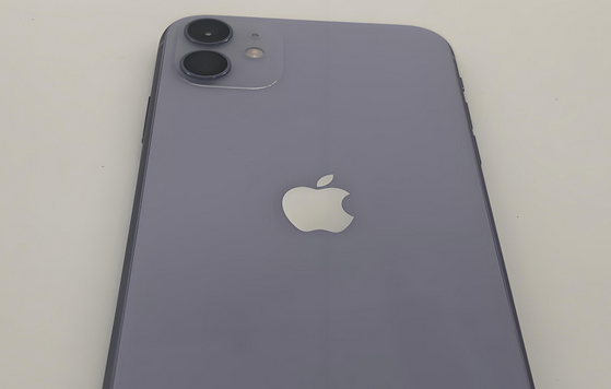 峨山苹果11系统维修分享iPhone11手机系统崩溃无法开机如何解决 